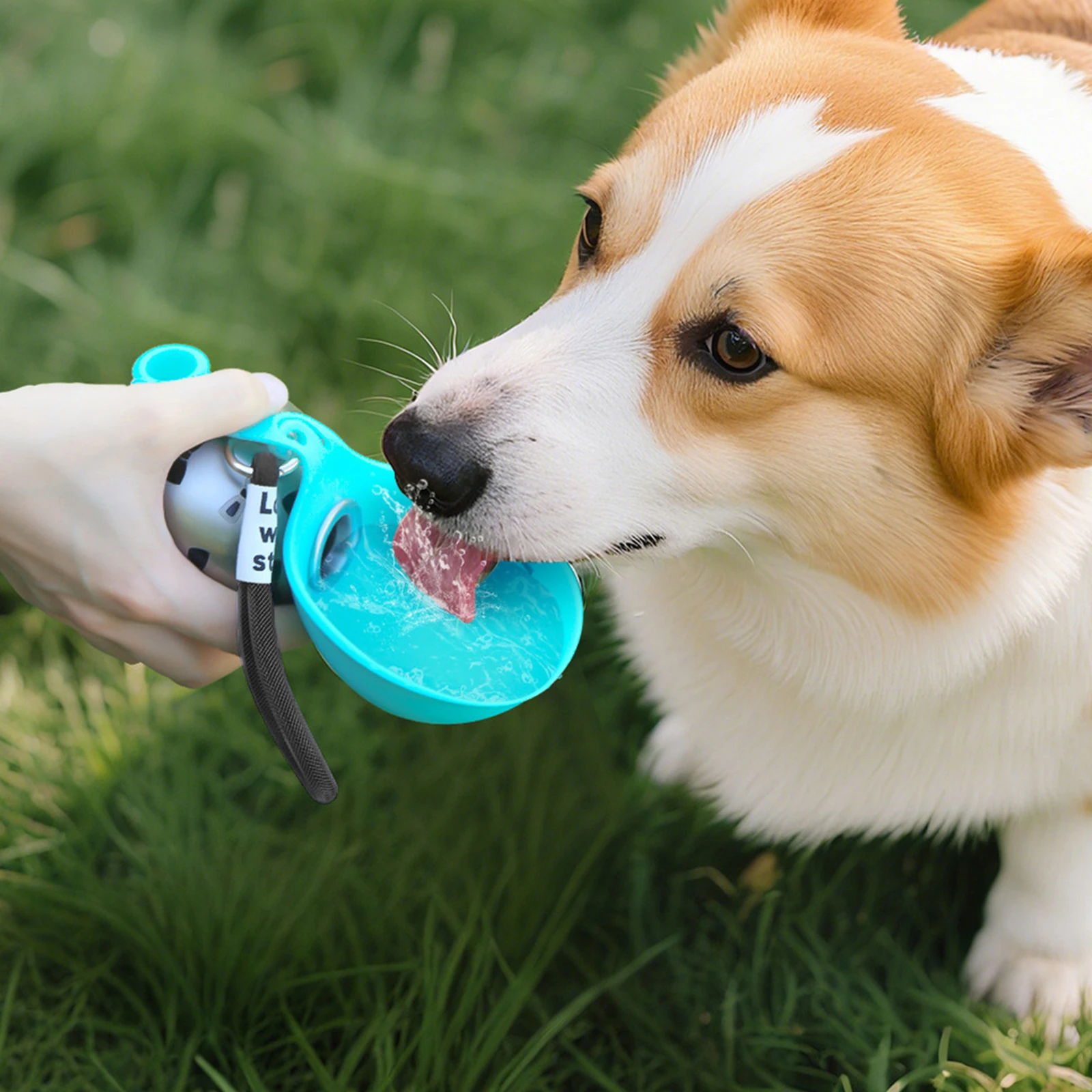 285ml Leak-Proof Spherical Pet Water Bottle, 2-in-1 Portable Dog Water Dispenser with Bowl for Travel Walking Hiking Camping - AliExpress 15 - Image 5