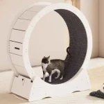 Cat Treadmill Running Wheel Silent Exercise Large Toy