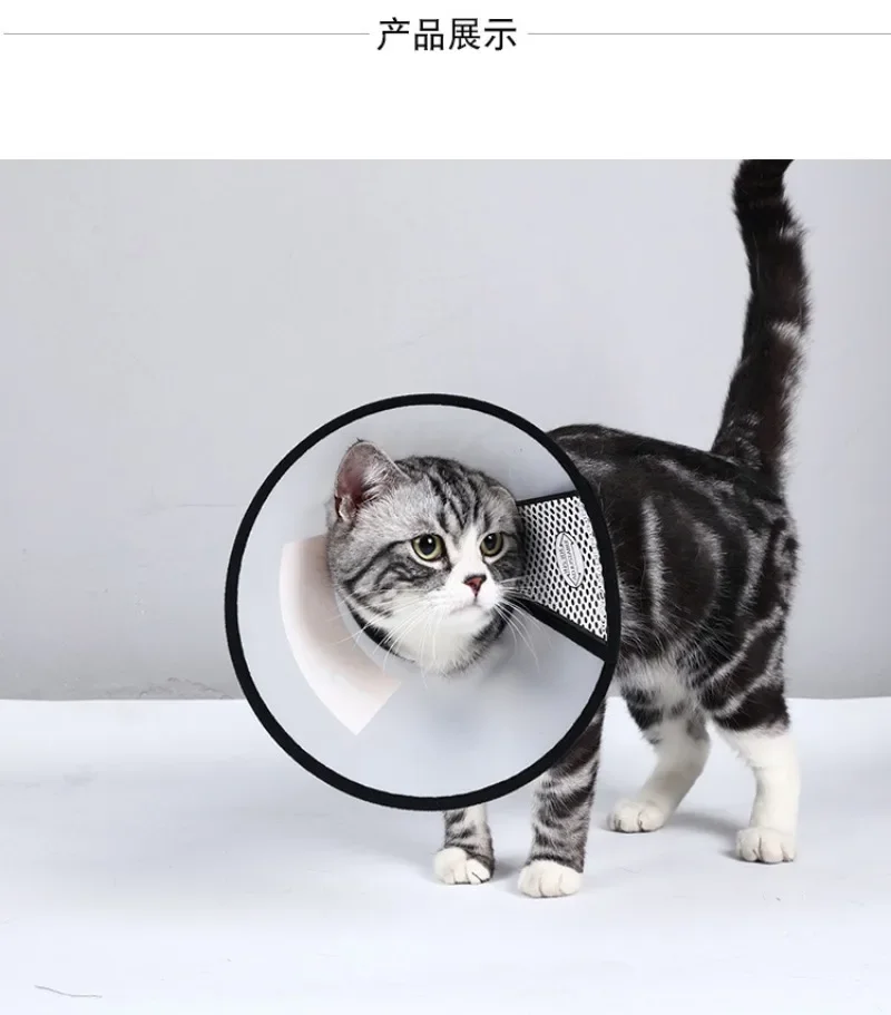 Pet Anti-bite Collar Cat Wound Healing Cone Neck Protection Cover Elizabethan Circle for Kitten Puppy Dog Post-operative Care - AliExpress 15 - Image 2